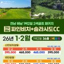 파인비치골프호텔 Daum카페