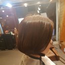 네추럴데이즈 이미지