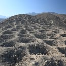 Pacific BUBBLES 이미지