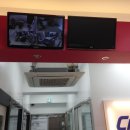 캐비어동물메디컬센터 이미지