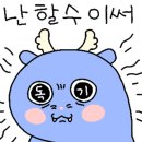 하이야호 이미지