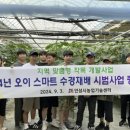 안성시농업기술센터 이미지