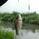 보성강7 이미지