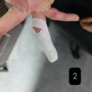 청춘유도관 수성점 이미지