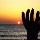 울주군특산품판매장 이미지