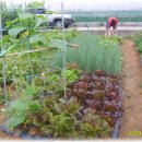 우리농장 이미지