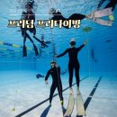 창원1 | 창원 프리다이빙 강습 후기 아이다 자격증 1회차 프리덤다이브