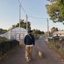 스테이에르바