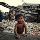 봉봉애견카페호텔 이미지