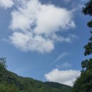 숲과 개울 펜션 이미지