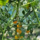 코앤코이비인후과의원 이미지