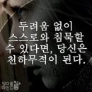 반야. 금산 3. 이미지