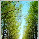 영산수련원
