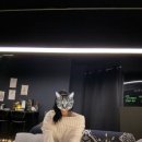 비612(B612)