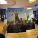 신세계 백화점) ⭕️🔺🔲 오징어 게임 2 팝업스토어 체험존 & CGV 🆕 IMAX 관 🦁 무파사: 라이온 킹 관람 후기.