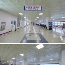 송이토산품 | 국내 여행 제주에서 완도 배편 제주항 차량선적 비용