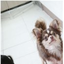 스마일하우스 이미지