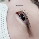 미모당 | 경산 사동 눈썹관리샵 미모당 속눈썹펌 후기