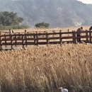 GS25 부산몰운대점 | 부산 다대포 몰운대 둘레길 가을 겨울 걷기 좋은 코스 탐방 후기