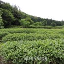 청해진 투어코리아