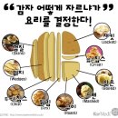 금자 이미지