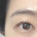 잠실속눈썹 잘하는 곳 이유뷰티 속눈썹펌 후기(유지력, 가격비교)