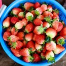 남천제방길 이미지