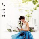 Tiger In The Night / 신날새 (해금연주) 이미지