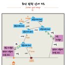 동삼택시합자회사 | 4박 5일 중국 시안여행-3일차 시안 화산 케이블카 서봉에서 북봉까지 서상북하코스 화산파간접체험