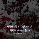 애가 이미지