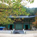 솔봉계곡쉼터야영장 이미지