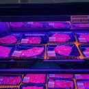 형제민물장어 이미지