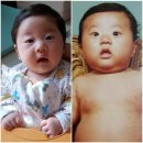 서아 이미지