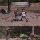 우농