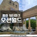 홍천 오션월드 후기 먹거리와 어트랙션 대기시간 및 오션패스 가격 내돈내산