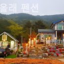 올래펜션 - 강릉시 저동골길 5-1 | 올래펜션