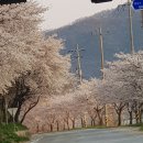 그라시아펜션 이미지