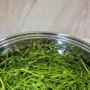 봄의 선물, 제주 밥상 이야기 이미지