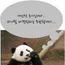 에이치조은 이미지