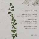 돼지오빠 이미지