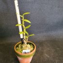 지일농장 이미지