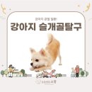 소랑동물병원 이미지