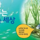 예린이네