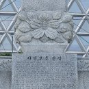 자연보호헌장비 이미지