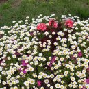 아산봄소아청소년과의원 이미지