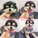 괴정3동-3 이미지