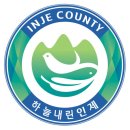 [25년 2분기] 여성배구교실 | 인제군청 주간 업무 사항