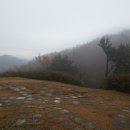 회귀-모정 이미지