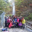 덕구온천단체 이미지