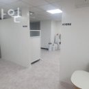 플러스파인